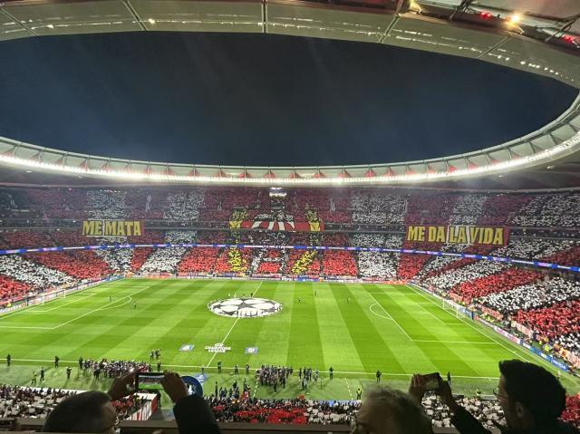 1741833850868088175.jpg WechatIMG7.jpg